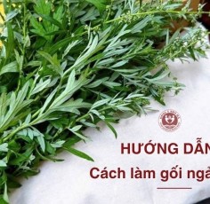 Hướng dẫn cách làm gối ngải cứu giảm đau mỏi cơ hiệu quả